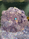 Lola - Chunky Iridescent