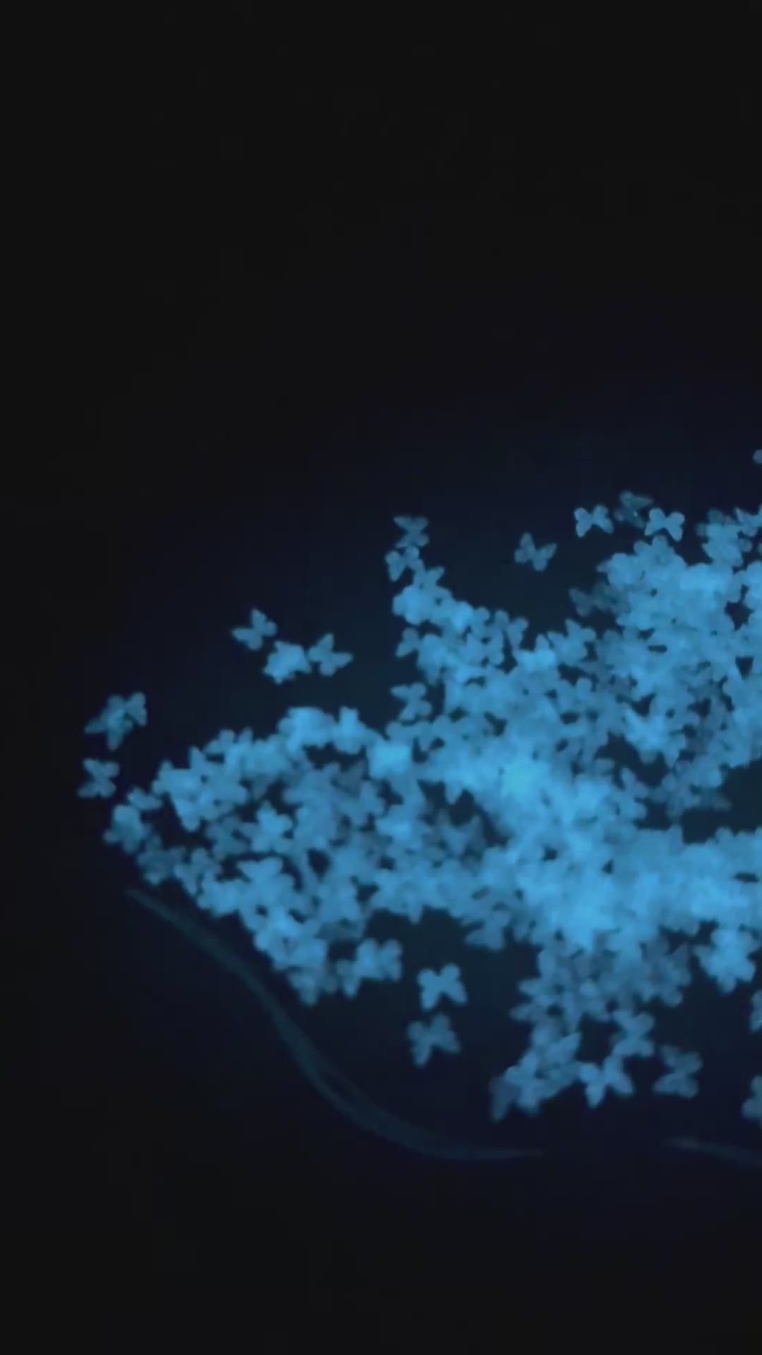 Glowflies - Glow Glitter Shapes